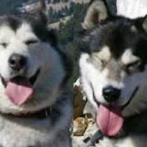 Meet your Posher, Jeanette